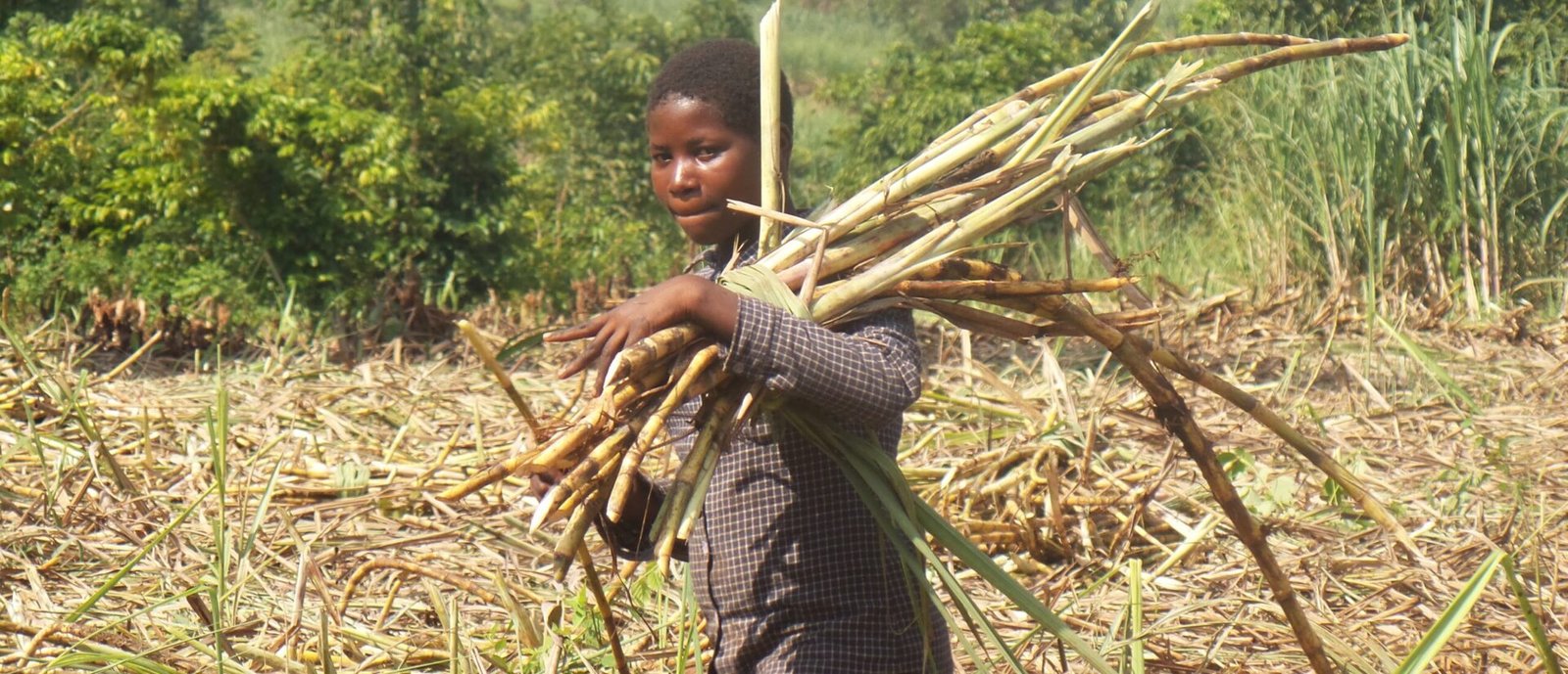 The life of a girl child without education